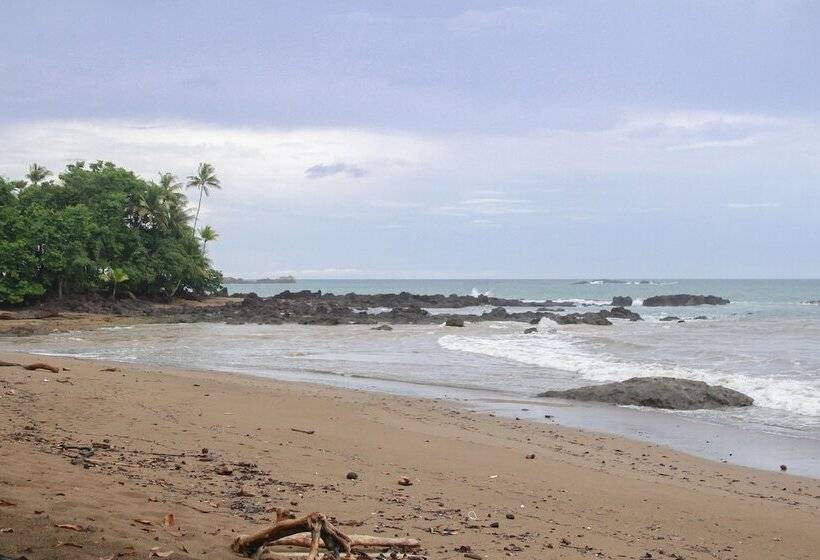 בית מלון כפרי Aguila De Osa Rainforest & Marine Adventure Lodge