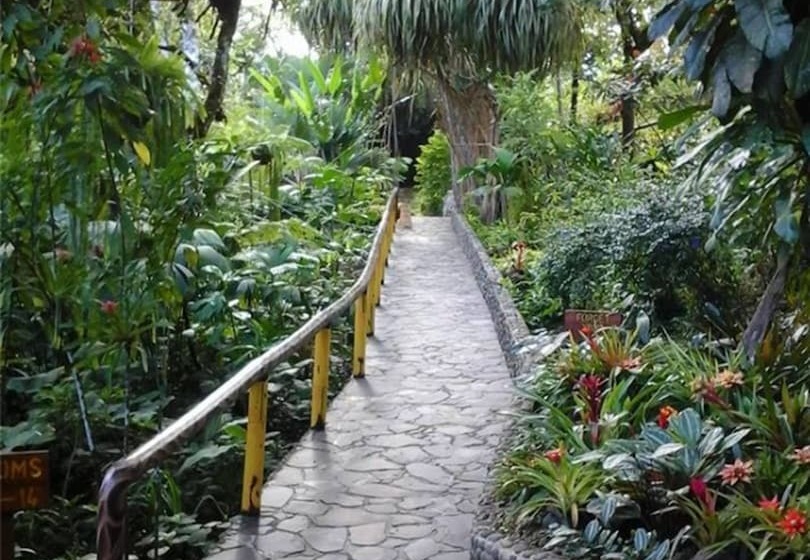 בית מלון כפרי Aguila De Osa Rainforest & Marine Adventure Lodge