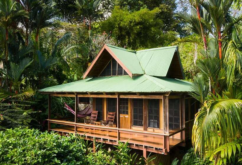 בית מלון כפרי Aguila De Osa Rainforest & Marine Adventure Lodge