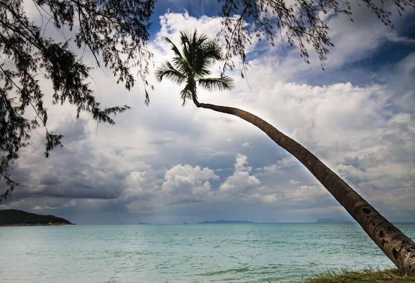 בית מלון כפרי Anahata Resort Samui