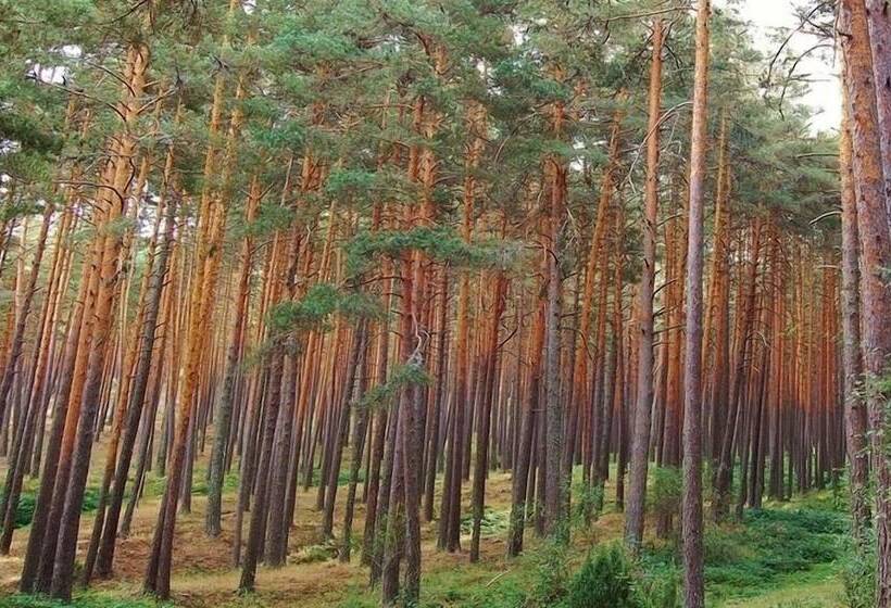 هتل Ar Isabel De Farnesio