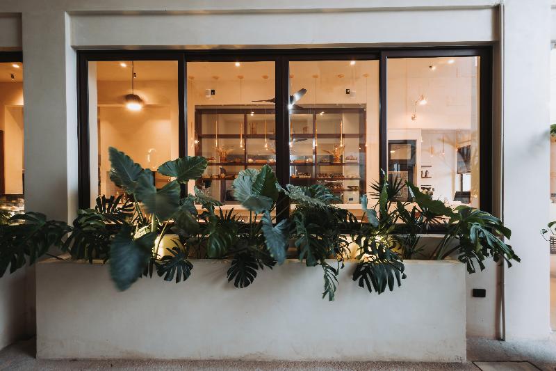 فندق Casa Barbara Holbox