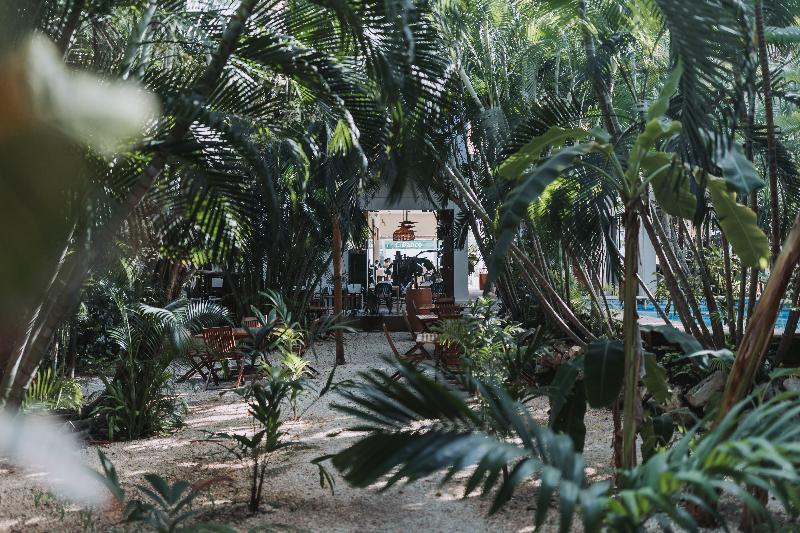 فندق Casa Barbara Holbox