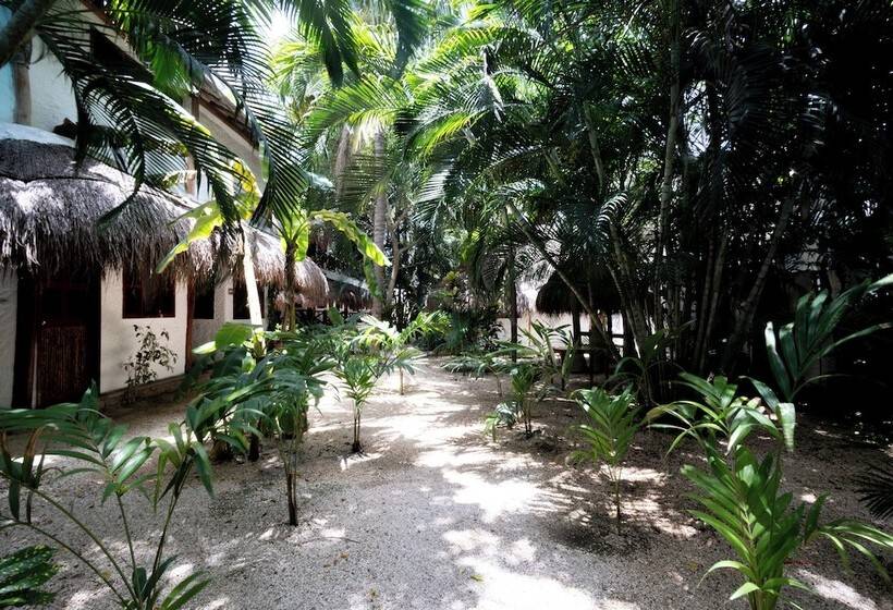 هتل Casa Barbara Holbox