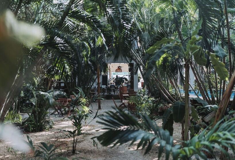 فندق Casa Barbara Holbox