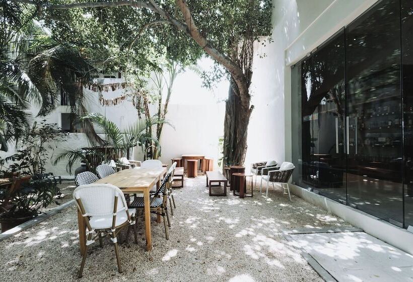 فندق Casa Barbara Holbox