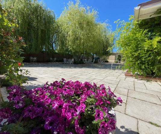 ホテル Casa De La Rosa