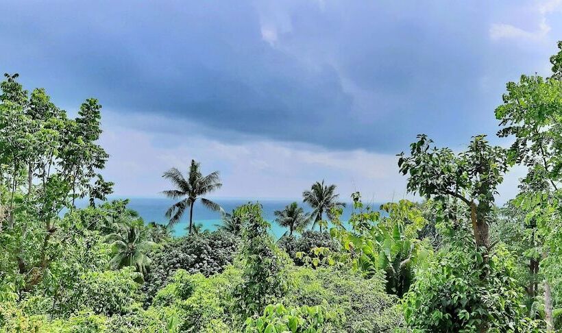 فندق Chaweng Bay View Resort