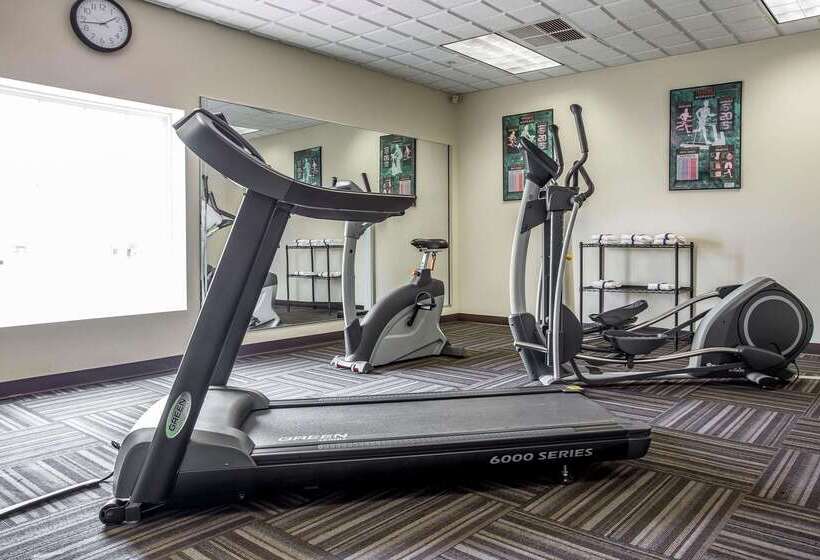 Отель Comfort Inn & Suites Ft.jackson Maingate