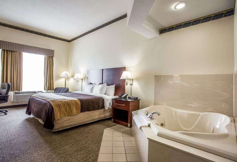 Отель Comfort Inn & Suites Ft.jackson Maingate