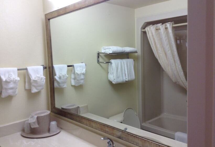 호텔 Comfort Inn & Suites Ft.jackson Maingate