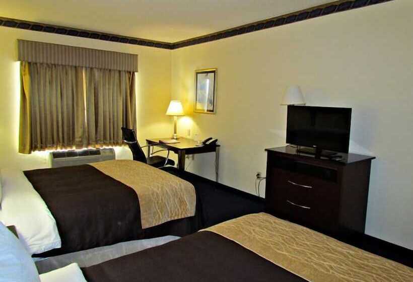 호텔 Comfort Inn & Suites Ft.jackson Maingate