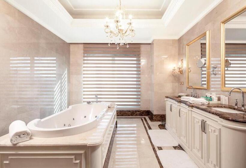 هتل Crowne Plaza Istanbul Asia, An Ihg