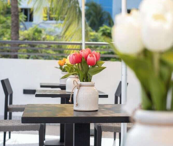 فندق The Cove By Renzzi