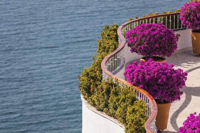 ホテル Grand Miramar All Luxury Suites & Residences