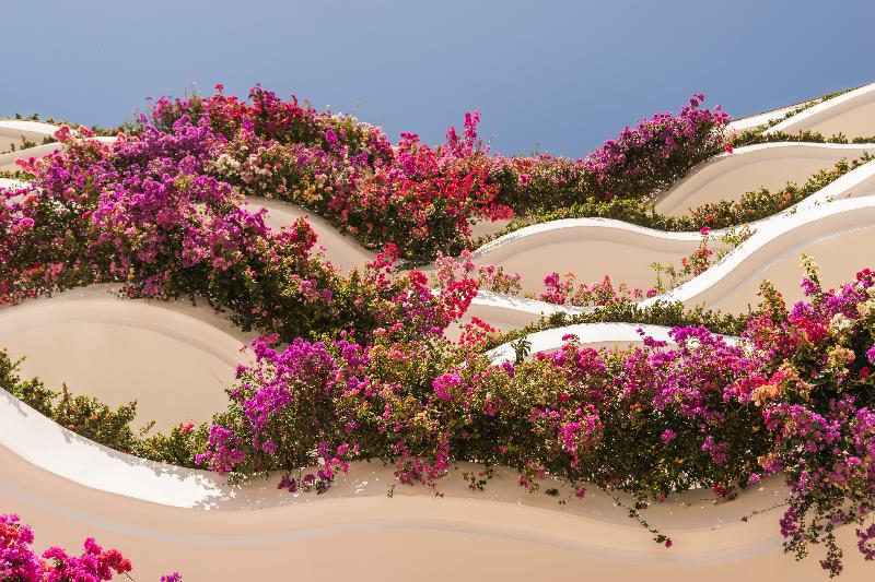 בית מלון כפרי Grand Miramar All Luxury Suites & Residences