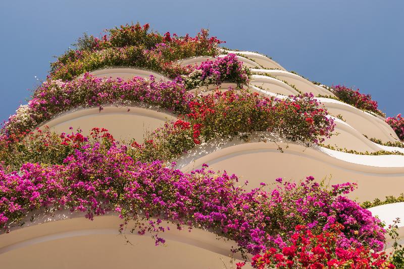 בית מלון כפרי Grand Miramar All Luxury Suites & Residences