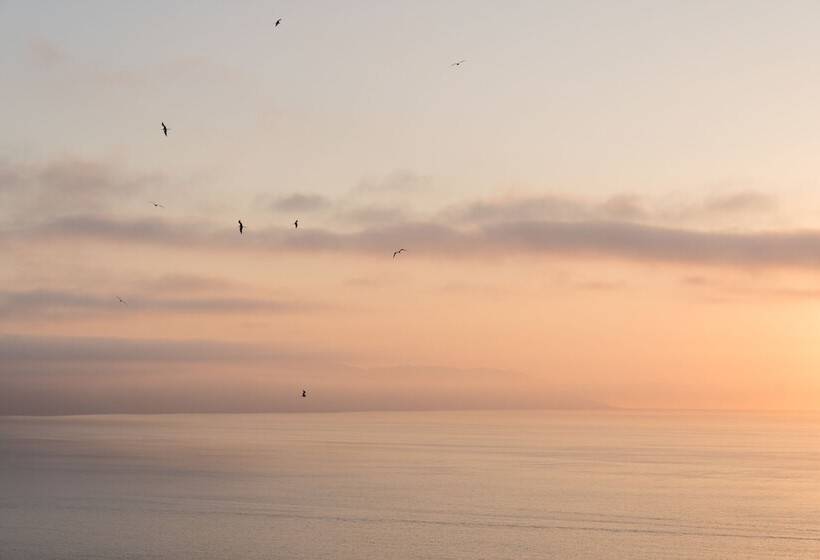 בית מלון כפרי Grand Miramar All Luxury Suites & Residences