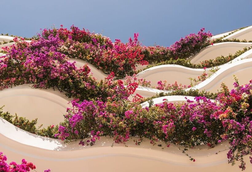 ホテル Grand Miramar All Luxury Suites & Residences