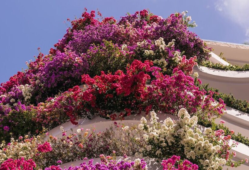 בית מלון כפרי Grand Miramar All Luxury Suites & Residences