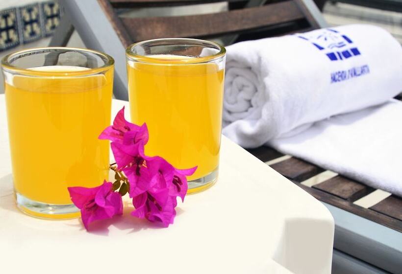 酒店 Hacienda De Vallarta Centro