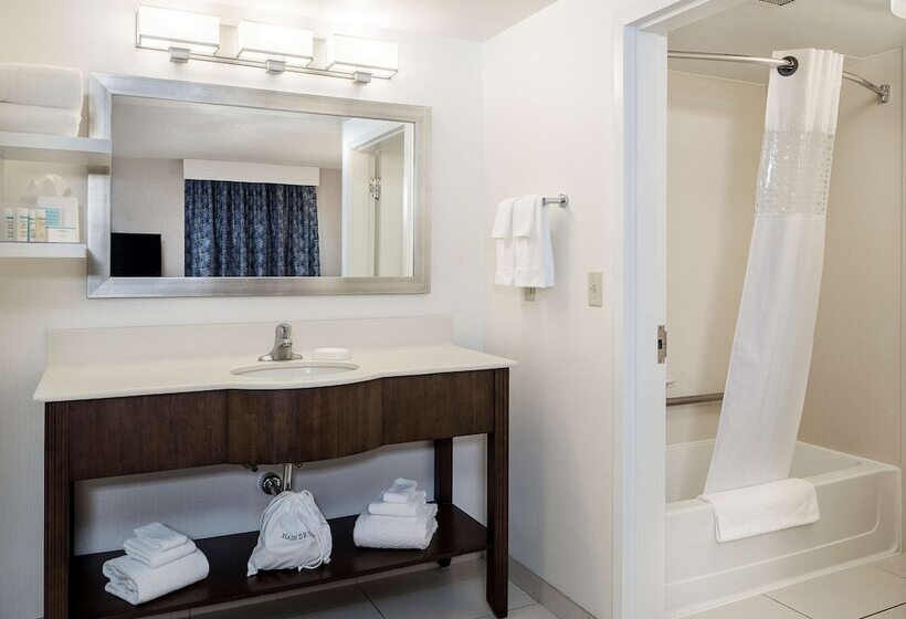 ホテル Hampton Inn & Suites By Hilton Halifax   Dartmouth