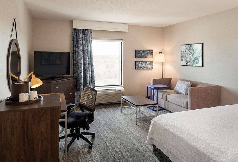 ホテル Hampton Inn & Suites By Hilton Halifax   Dartmouth