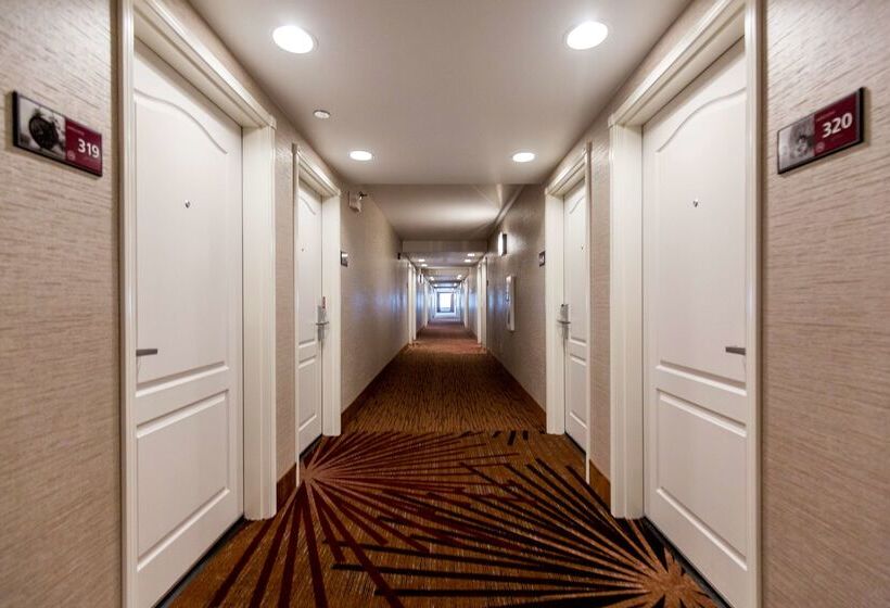 בית מלון כפרי Hampton Inn Bismarck