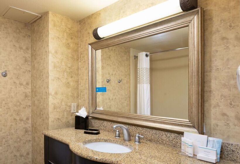 هتل Hampton Inn & Suites Baton Rouge  I10 East