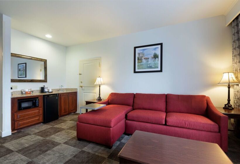 هتل Hampton Inn & Suites Baton Rouge  I10 East