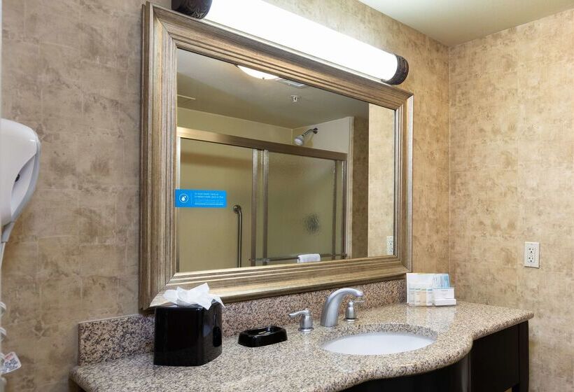 هتل Hampton Inn & Suites Baton Rouge  I10 East