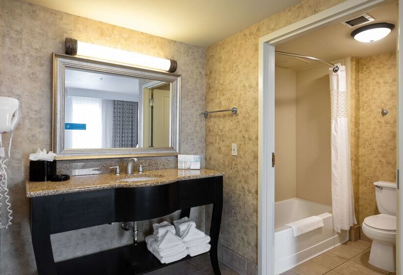 هتل Hampton Inn & Suites Baton Rouge  I10 East