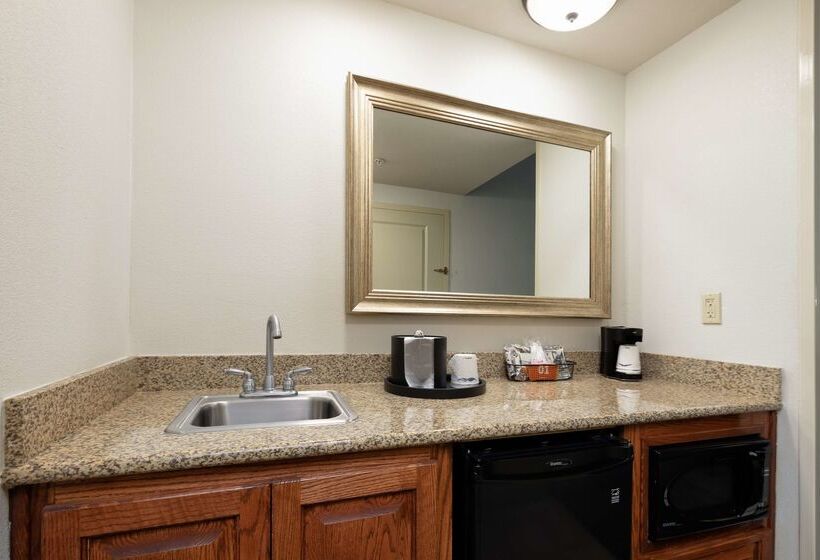 هتل Hampton Inn & Suites Baton Rouge  I10 East