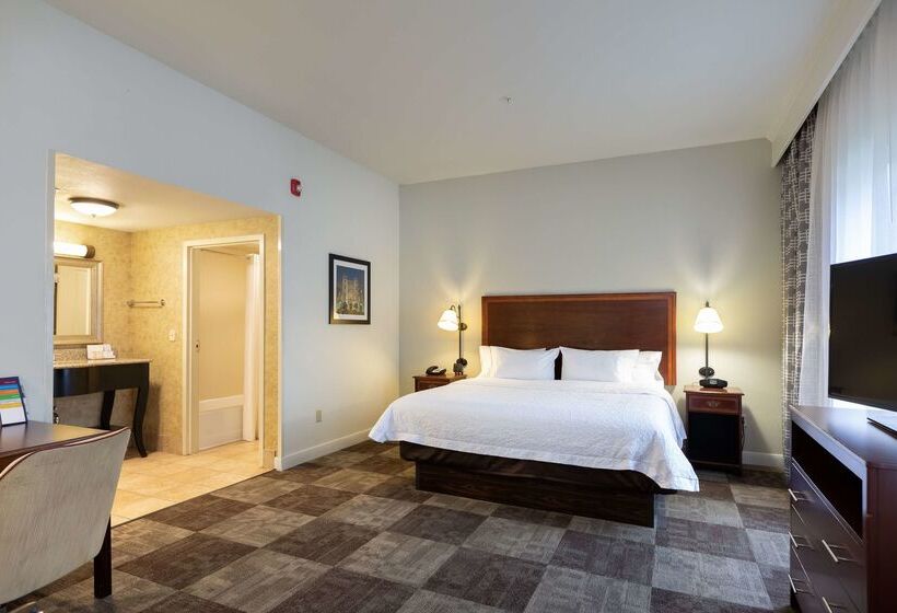 هتل Hampton Inn & Suites Baton Rouge  I10 East