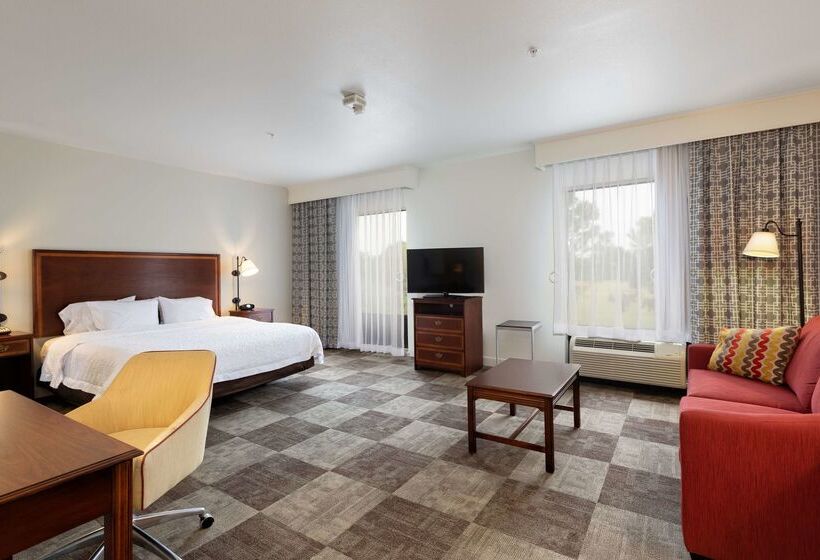 هتل Hampton Inn & Suites Baton Rouge  I10 East