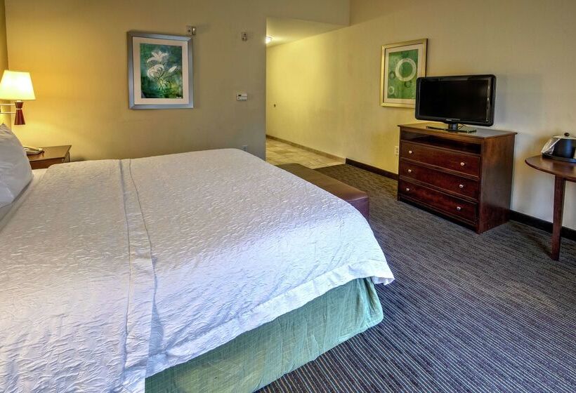 호텔 Hampton Inn & Suites Birmingham/280 Easteagle Point