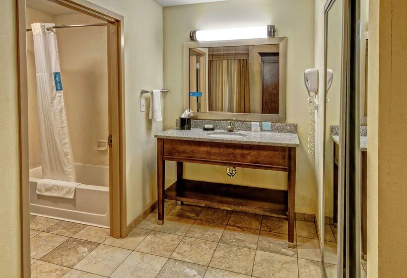 هتل Hampton Inn & Suites Birmingham/280 Easteagle Point