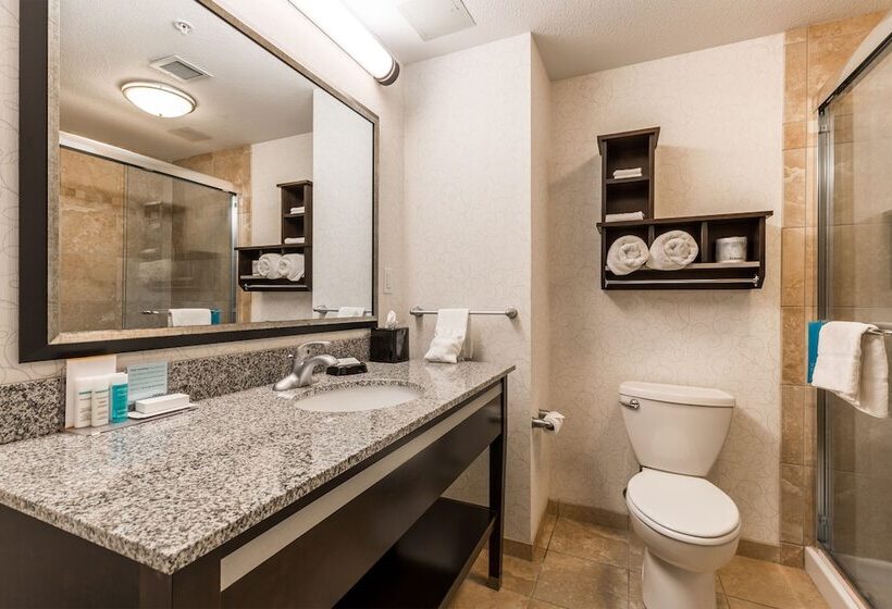 فندق Hampton Inn & Suites By Hilton Lethbridge