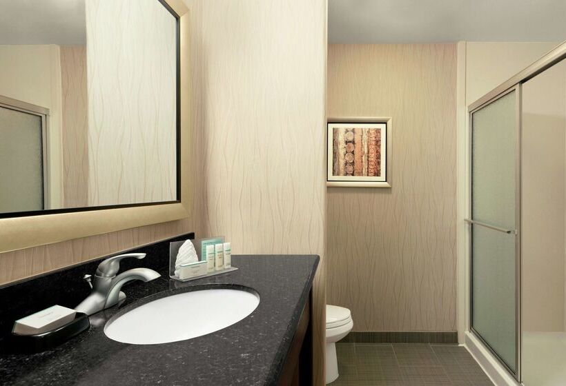 فندق Hampton Inn & Suites Houston/pasadena