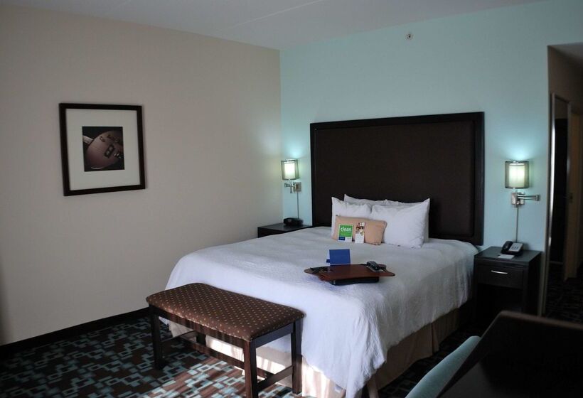 هتل Hampton Inn & Suites Nashville @ Opryland