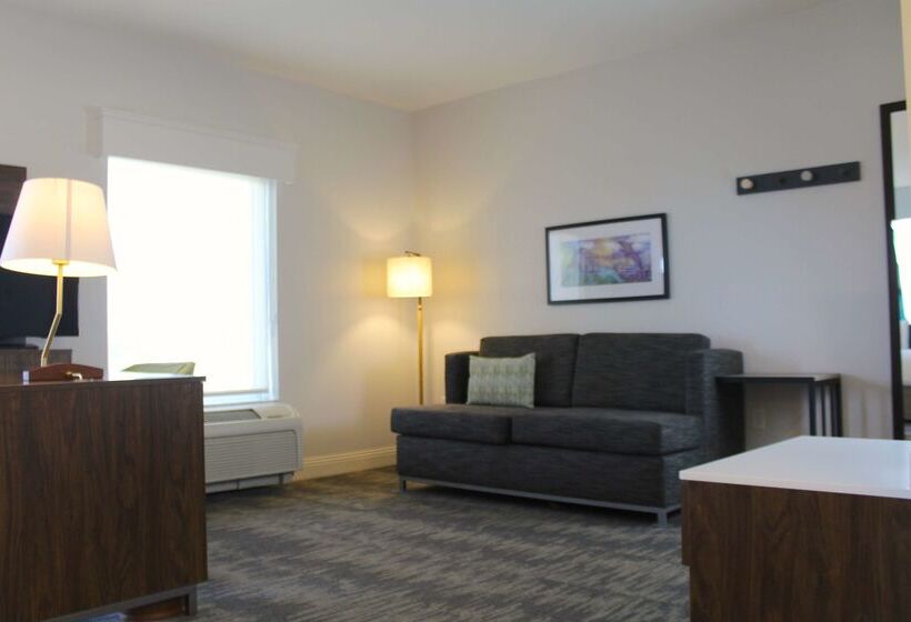 בית מלון כפרי Hampton Inn & Suites Sarasota/bradenton Airport, Fl