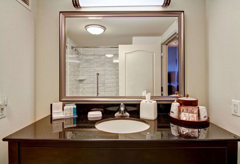 酒店 Hampton Inn By Hilton Toronto Airport Corporate Centre