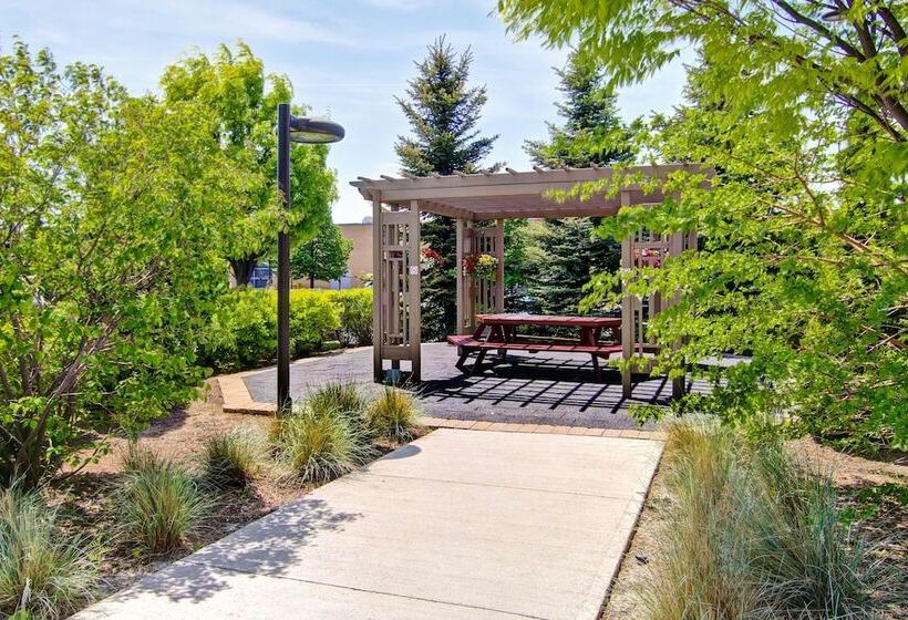 酒店 Hampton Inn By Hilton Toronto Airport Corporate Centre