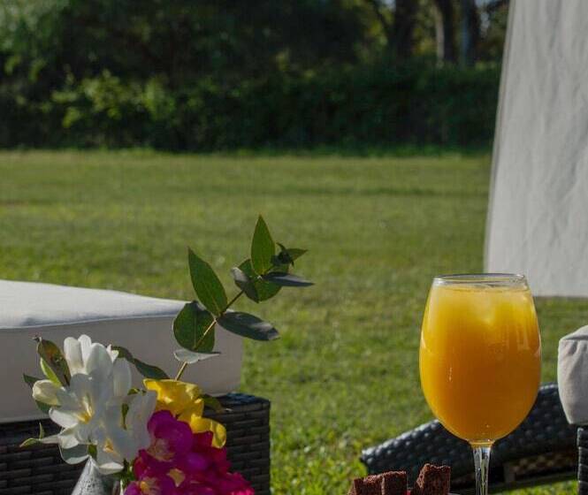 Hotel Hathor Concordia