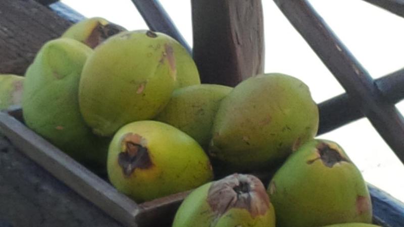 هتل Hemingway Romantic Ecoresort