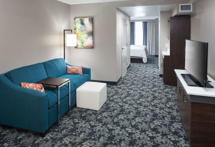 هتل Hilton Garden Inn Nashville Vanderbilt