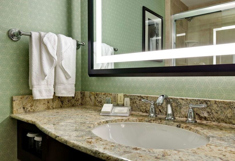 Отель Hilton Garden Inn Washington Dc/u.s. Capitol