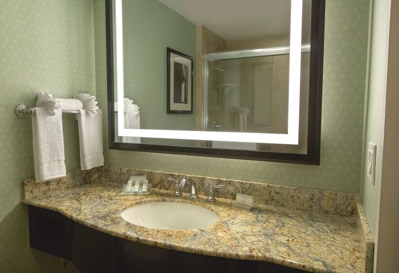 Отель Hilton Garden Inn Washington Dc/u.s. Capitol