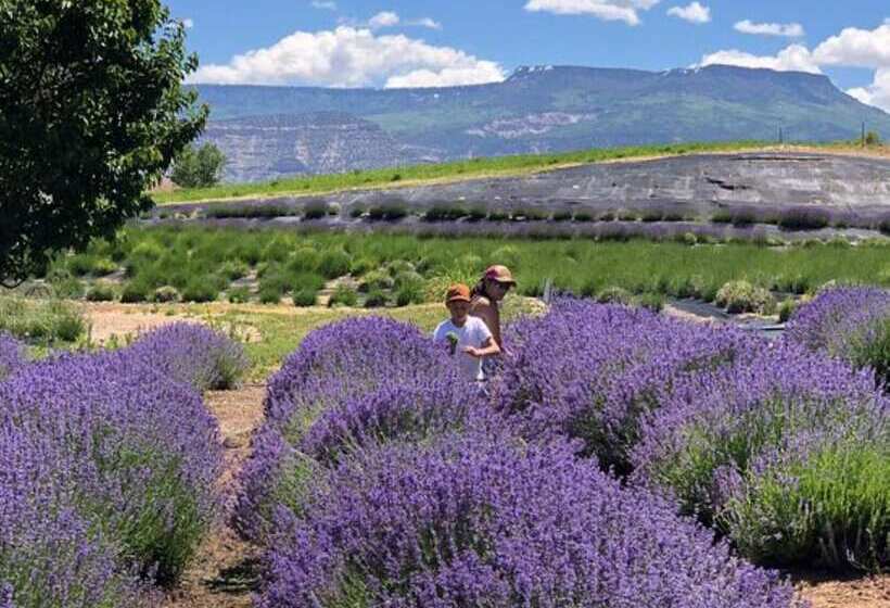 Holiday Inn Hotel & Suites Grand Junction Airport, An Ihg