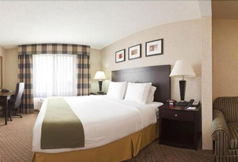 Holiday Inn Express Hotel & Suites Anderson, An Ihg